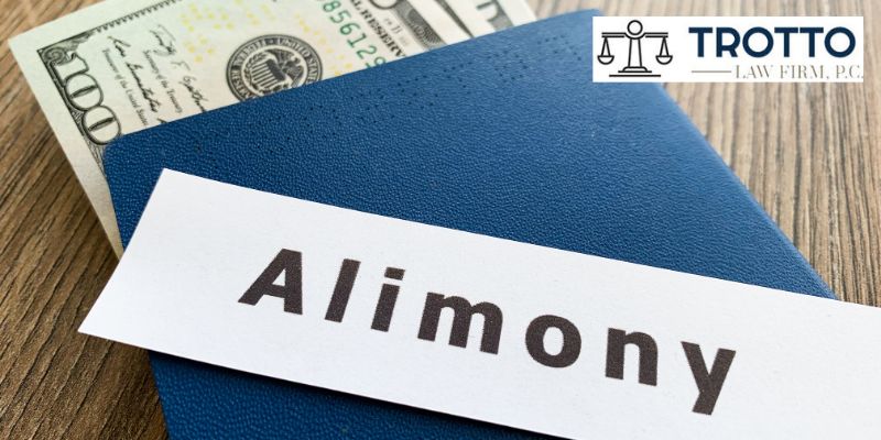 Rochester Contested Alimony and Spousal Support Disputes Attorney