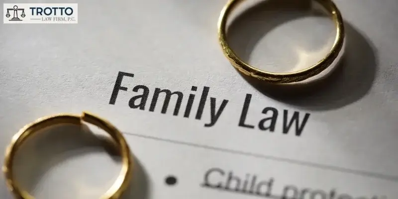 what does a family lawyer do